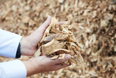 Bæredygtig biomasse