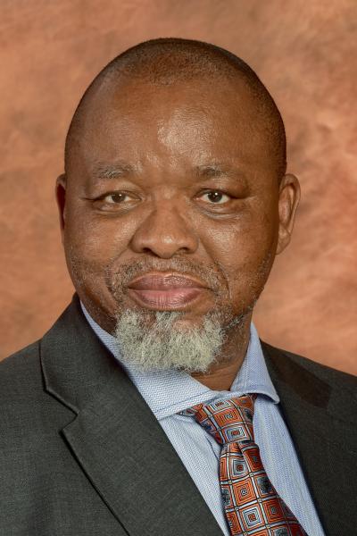 Minister of Mineral Resources and Energy Gwede Mantashe