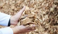 Bæredygtig biomasse